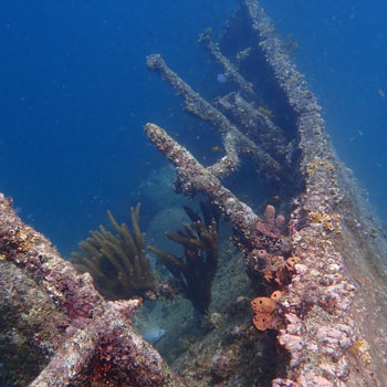 Antilla shipwreck