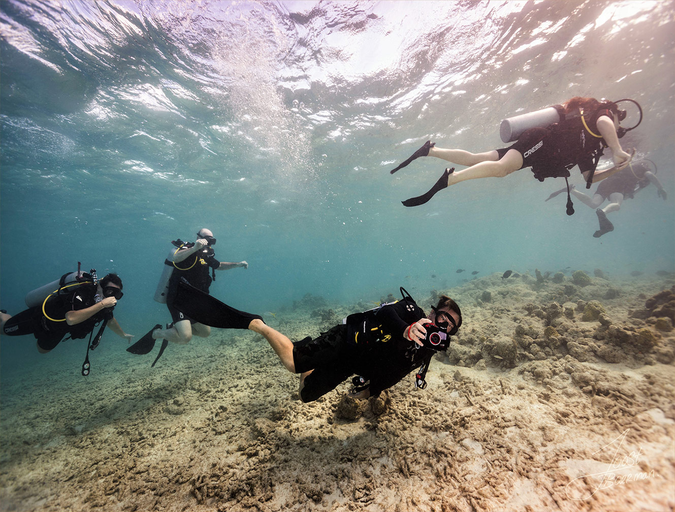 scuba diving tours aruba